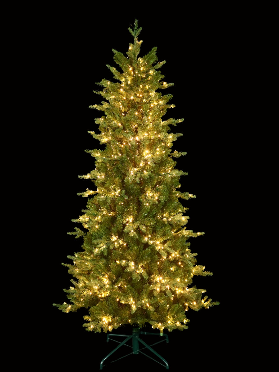 Alberta Slim Spruce 6.5'